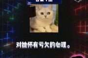 娱乐随拍吃瓜八卦视频下载,随拍吃瓜，八卦视频下载全攻略